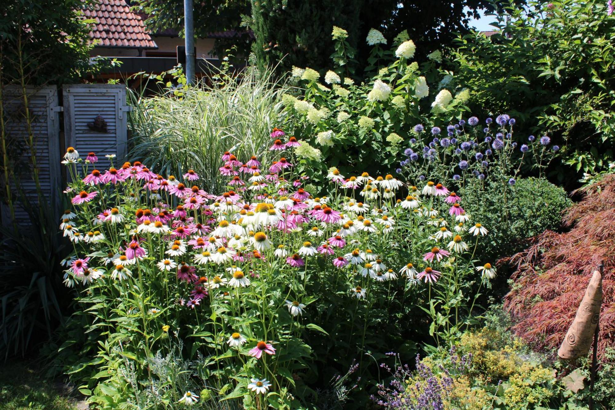 Apartment Im Garten Gengenbach Extérieur photo