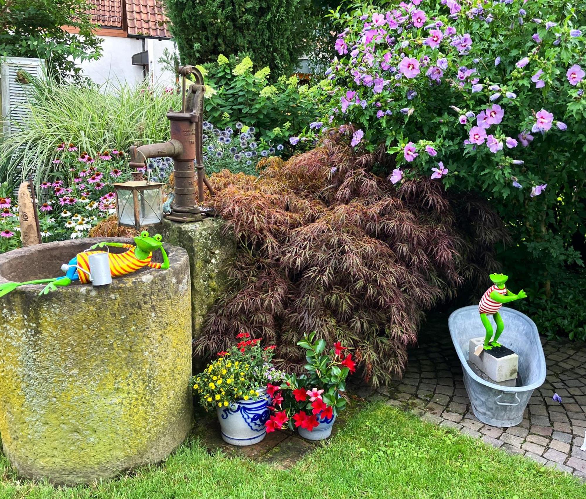 Apartment Im Garten Gengenbach Extérieur photo
